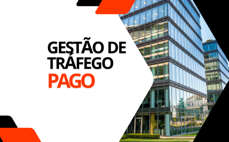 gestão de tráfego pago